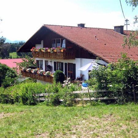 Haus Bergblick Appartement Oy-Mittelberg Buitenkant foto